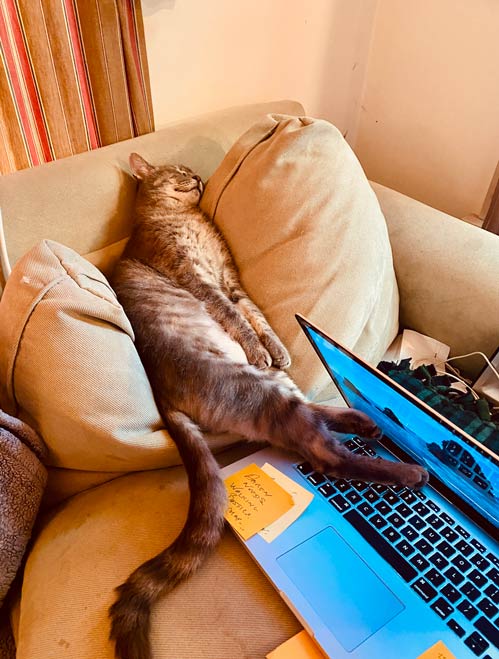Student working at an iMac on music projects